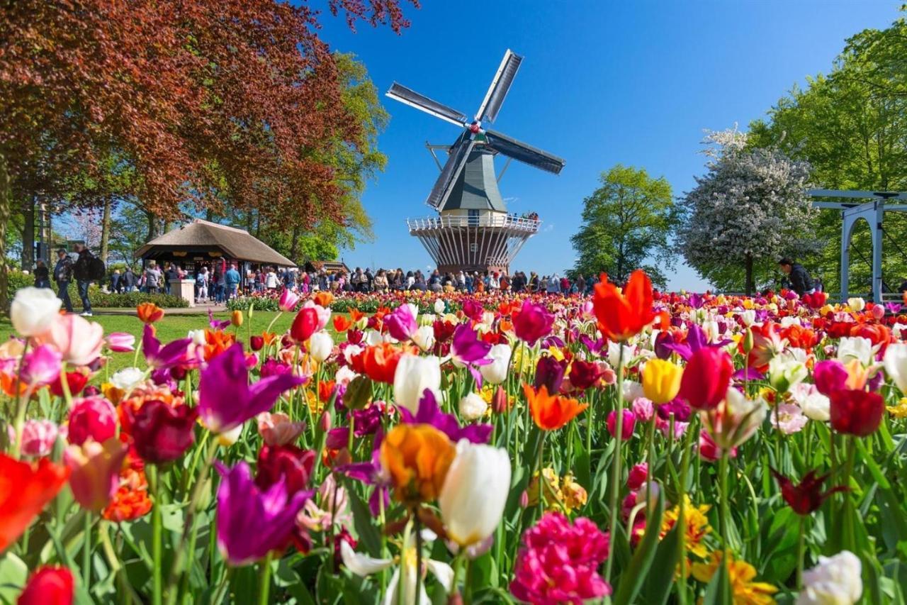 Magnificent Farmhouse In Central Holland 4A & 2C Schoonrewoerd ภายนอก รูปภาพ